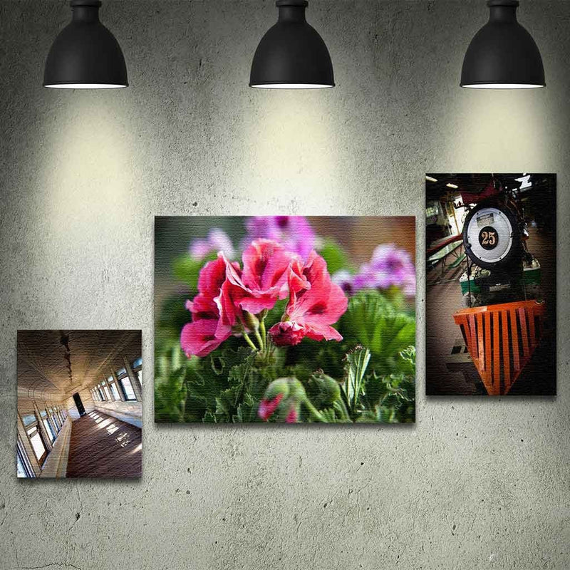 Mounted Canvas - Minuteman Press formely La Luz Printing Company | San Antonio TX Printing-San-Antonio-TX