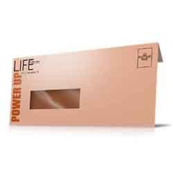 Window Envelopes #10 Business - Minuteman Press formely La Luz Printing Company | San Antonio TX Printing-San-Antonio-TX